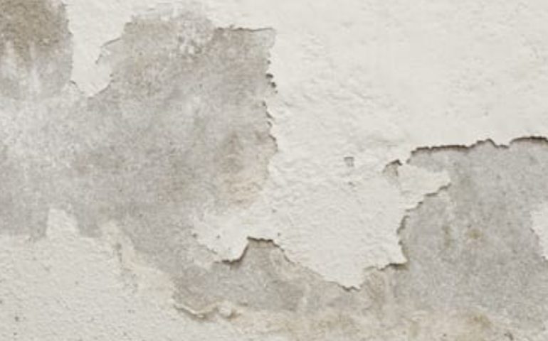 signsofrisingdamp