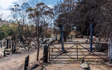 bushfire standards tf march 2020