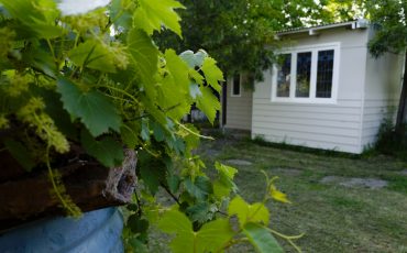 detached building approvals